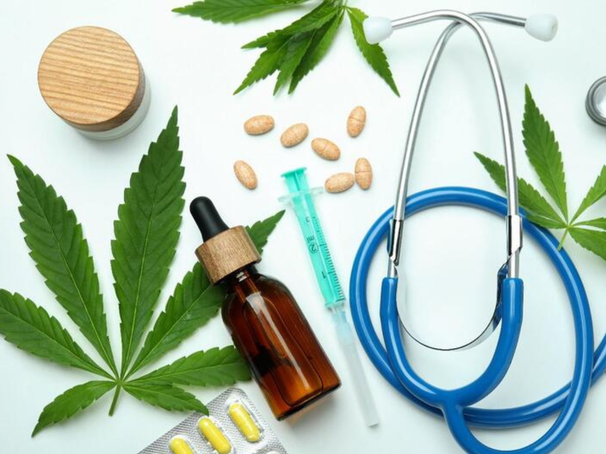 Novo marco regulatório amplia caminhos para produção de cannabis medicinal no Brasil